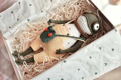 🐸 Cute Frog Amigurumi Crochet Pattern – Vintage Plush Doll