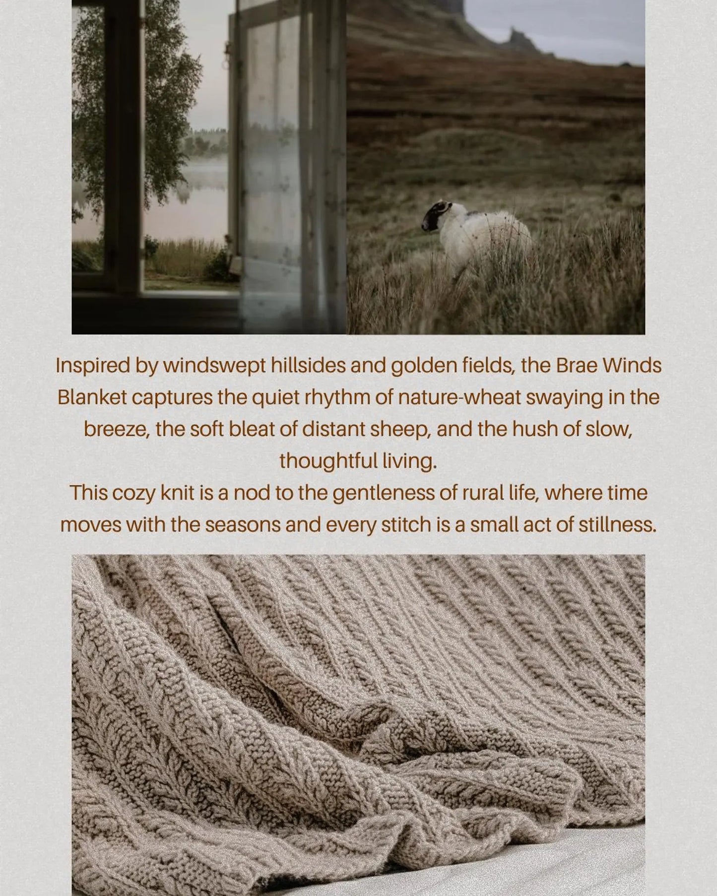 Golden Fields Textured Knit Blanket PDF