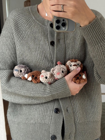 🍂No-Sew Mini Autumn Critters Crochet Pattern PDf_6 Designs